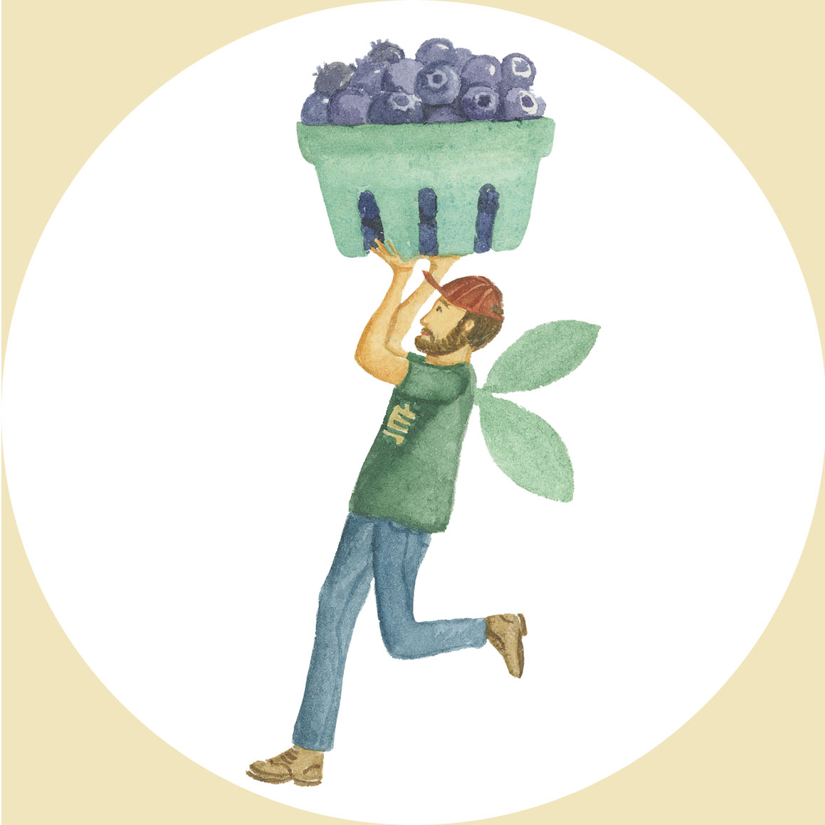 home delivery groceries