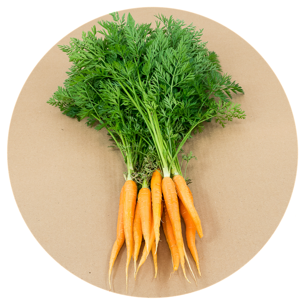 A variety of Seasonal Roots found in the Market basket